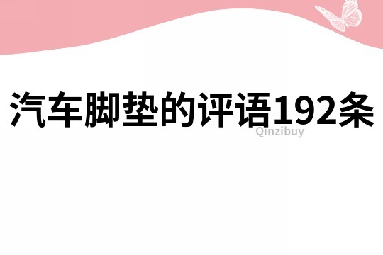 汽车脚垫的评语192条