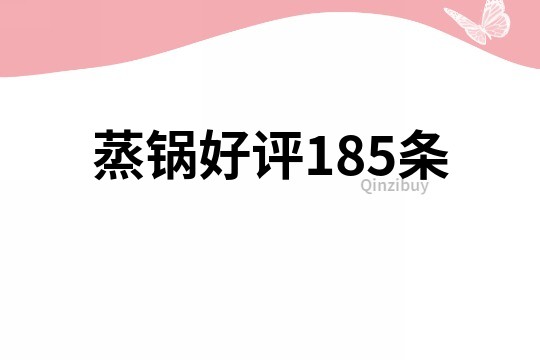 蒸锅好评185条