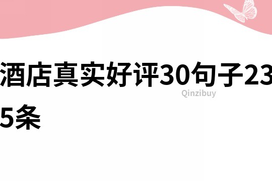 酒店真实好评30句子235条