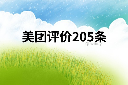 美团评价205条