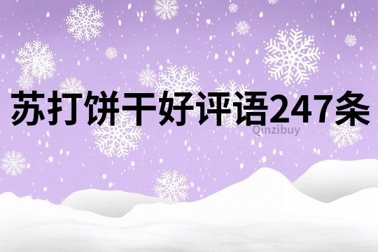 苏打饼干好评语247条