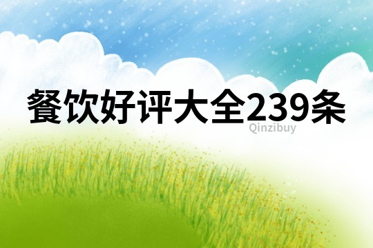 餐饮好评大全239条