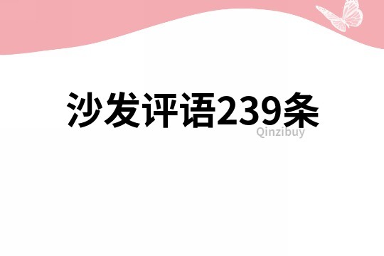 沙发评语239条