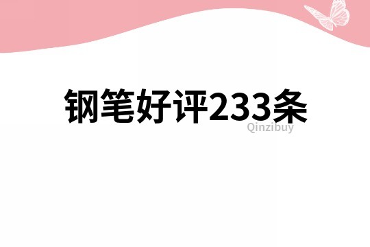 钢笔好评233条