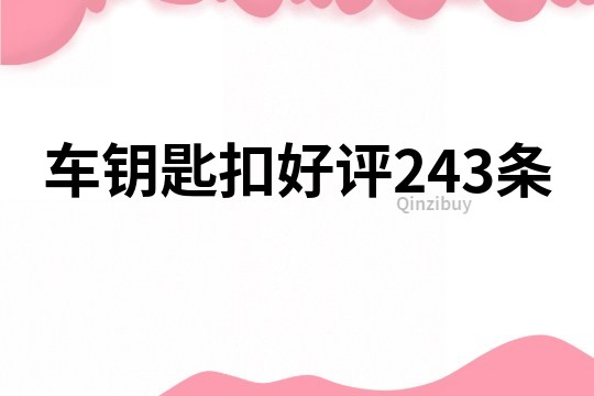 车钥匙扣好评243条