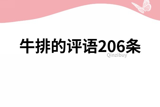 牛排的评语206条