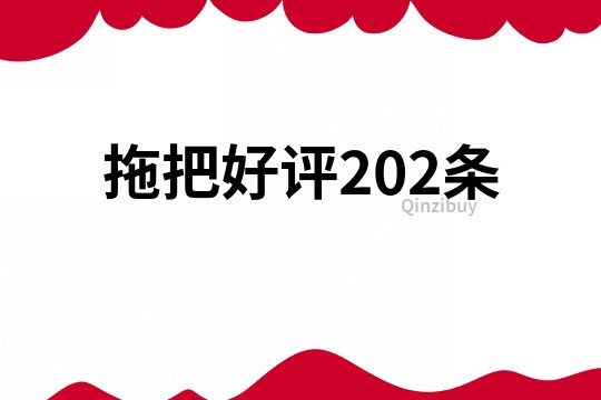 拖把好评202条