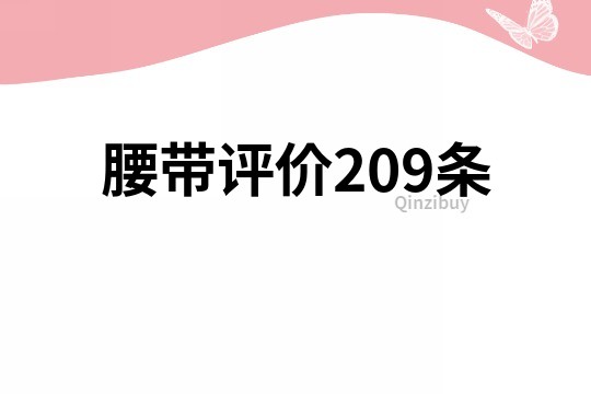 腰带评价209条