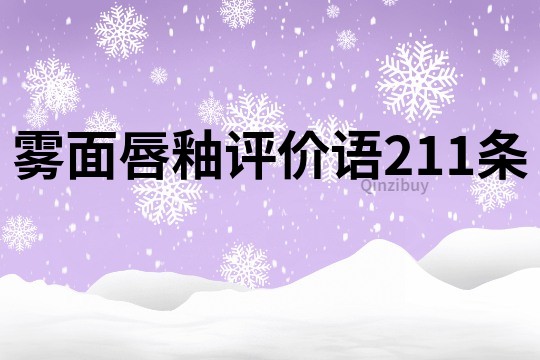 雾面唇釉评价语211条