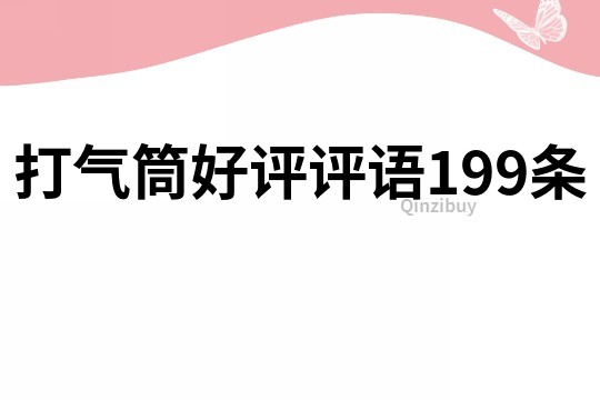 打气筒好评评语199条