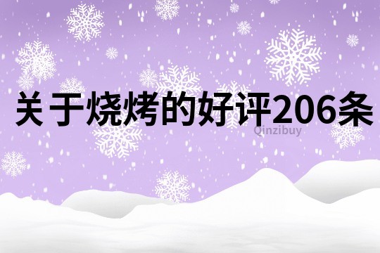 关于烧烤的好评206条