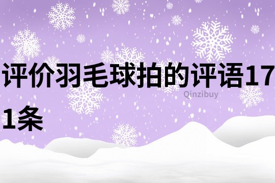 评价羽毛球拍的评语171条