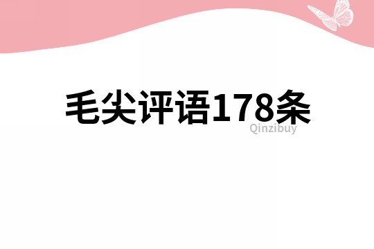 毛尖评语178条