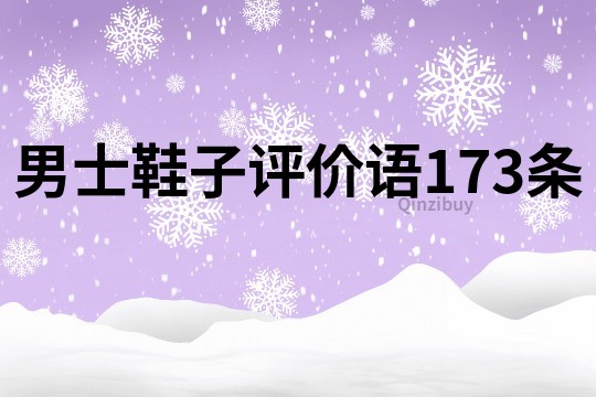 男士鞋子评价语173条