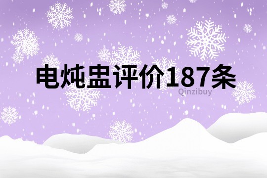 电炖盅评价187条