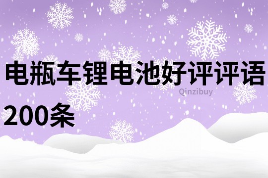 电瓶车锂电池好评评语200条