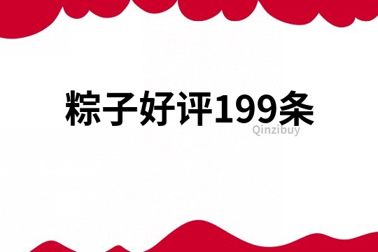 粽子好评199条