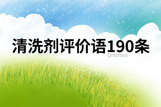 清洗剂评价语190条