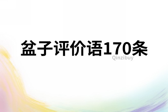 盆子评价语170条