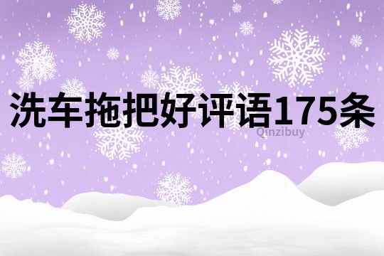 洗车拖把好评语175条