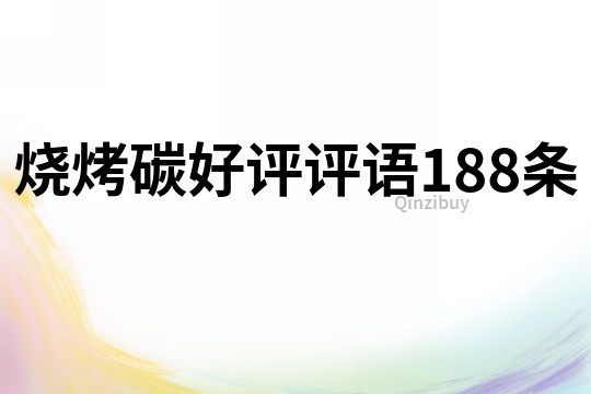 烧烤碳好评评语188条