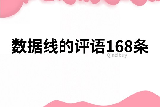 数据线的评语168条