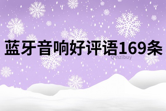 蓝牙音响好评语169条