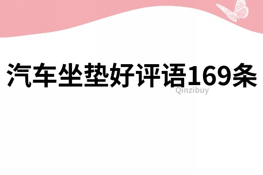 汽车坐垫好评语169条