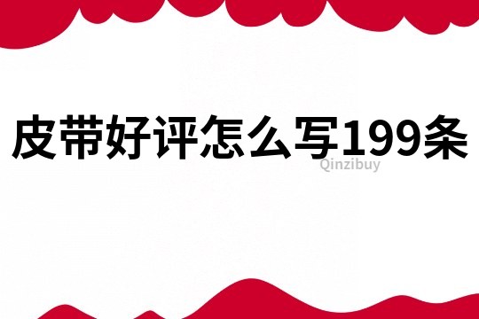 皮带好评怎么写199条