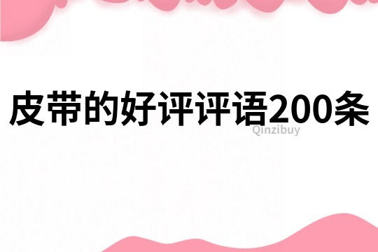 皮带的好评评语200条