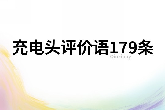 充电头评价语179条