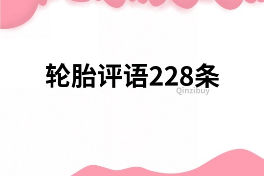 轮胎评语228条