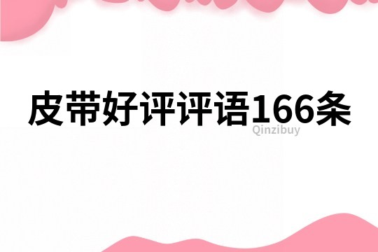 皮带好评评语166条