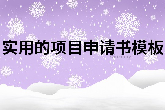 实用的项目申请书模板