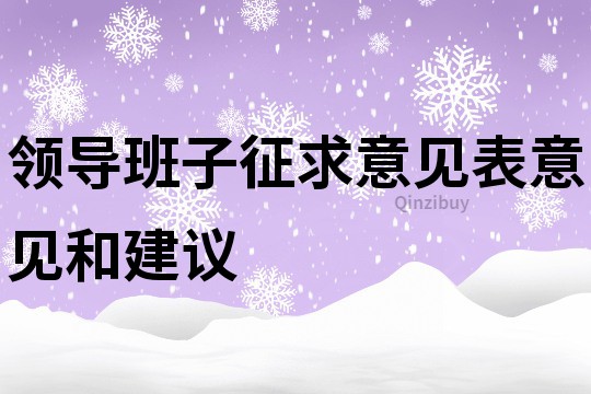 领导班子征求意见表意见和建议