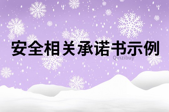 安全相关承诺书示例