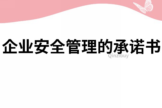 企业安全管理的承诺书