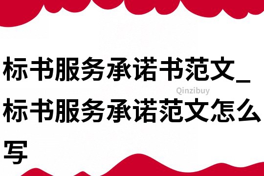 标书服务承诺书范文_标书服务承诺范文怎么写