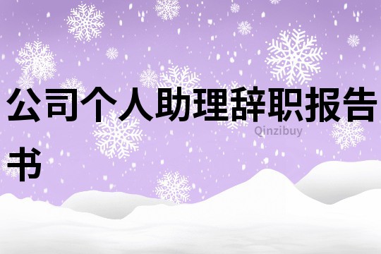 公司个人助理辞职报告书