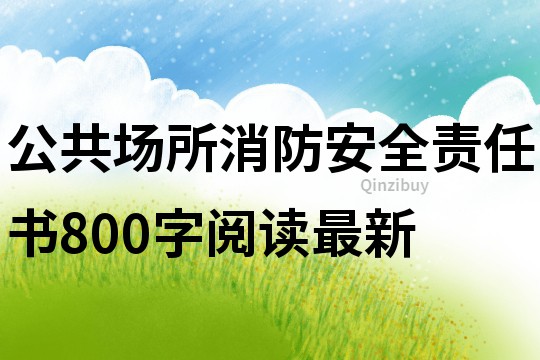 公共场所消防安全责任书800字阅读最新