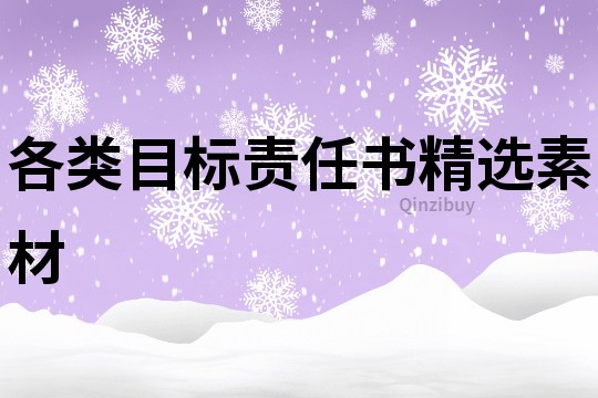 各类目标责任书精选素材