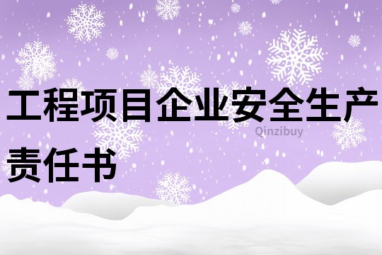 工程项目企业安全生产责任书