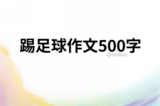 踢足球作文500字