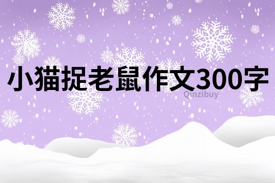 小猫捉老鼠作文300字