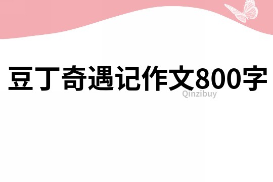 豆丁奇遇记作文800字