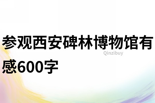 参观西安碑林博物馆有感600字