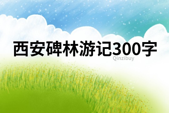 西安碑林游记300字