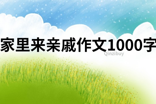 家里来亲戚作文1000字