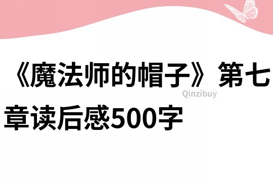 《魔法师的帽子》第七章读后感500字