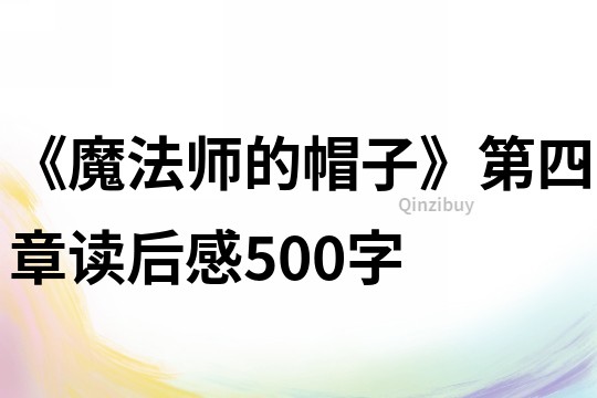 《魔法师的帽子》第四章读后感500字